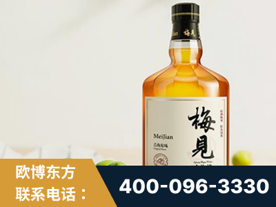 镇江-梅见青梅酒